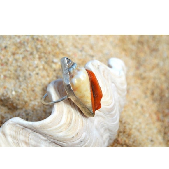 Seashell ring - Picture 2 of 4